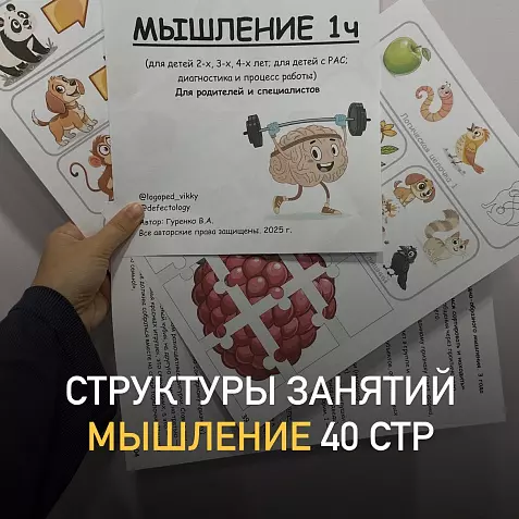 Структуры занятий. Мышление, 1 часть Виктория Гуренко