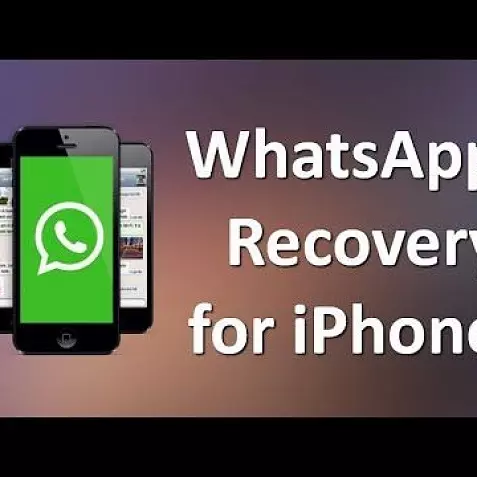 Coolmuster iPhone WhatsApp Recovery | Лицензия. Восстановление сообщений история чата