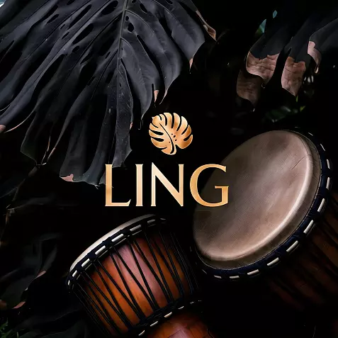 Igor Pumphonia - Ling